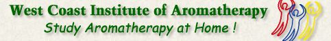 Learn All You Need To Know About Essential Oils InThe Comfort Of Your Own Home!